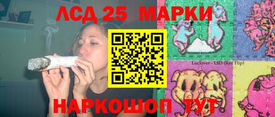 PSILOCYBIN Краснодар