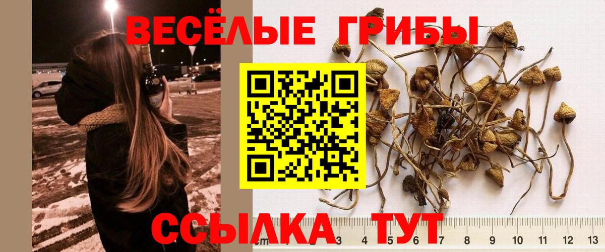 Галлюциногенные грибы прущие грибы Донецк